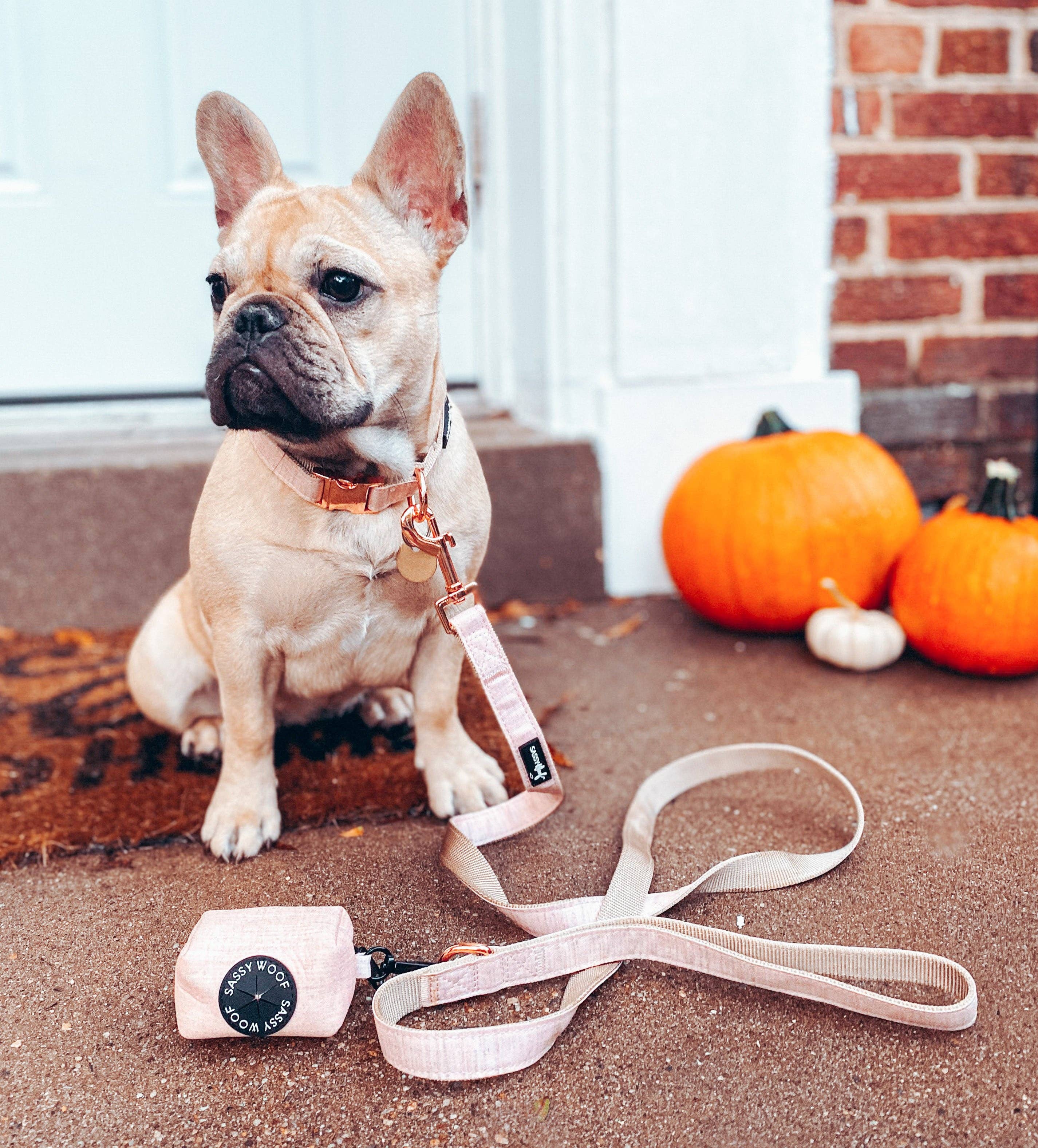 SASSY WOOF - Wholesale Pet Leash - Dog - Dog Leash - Pinot6