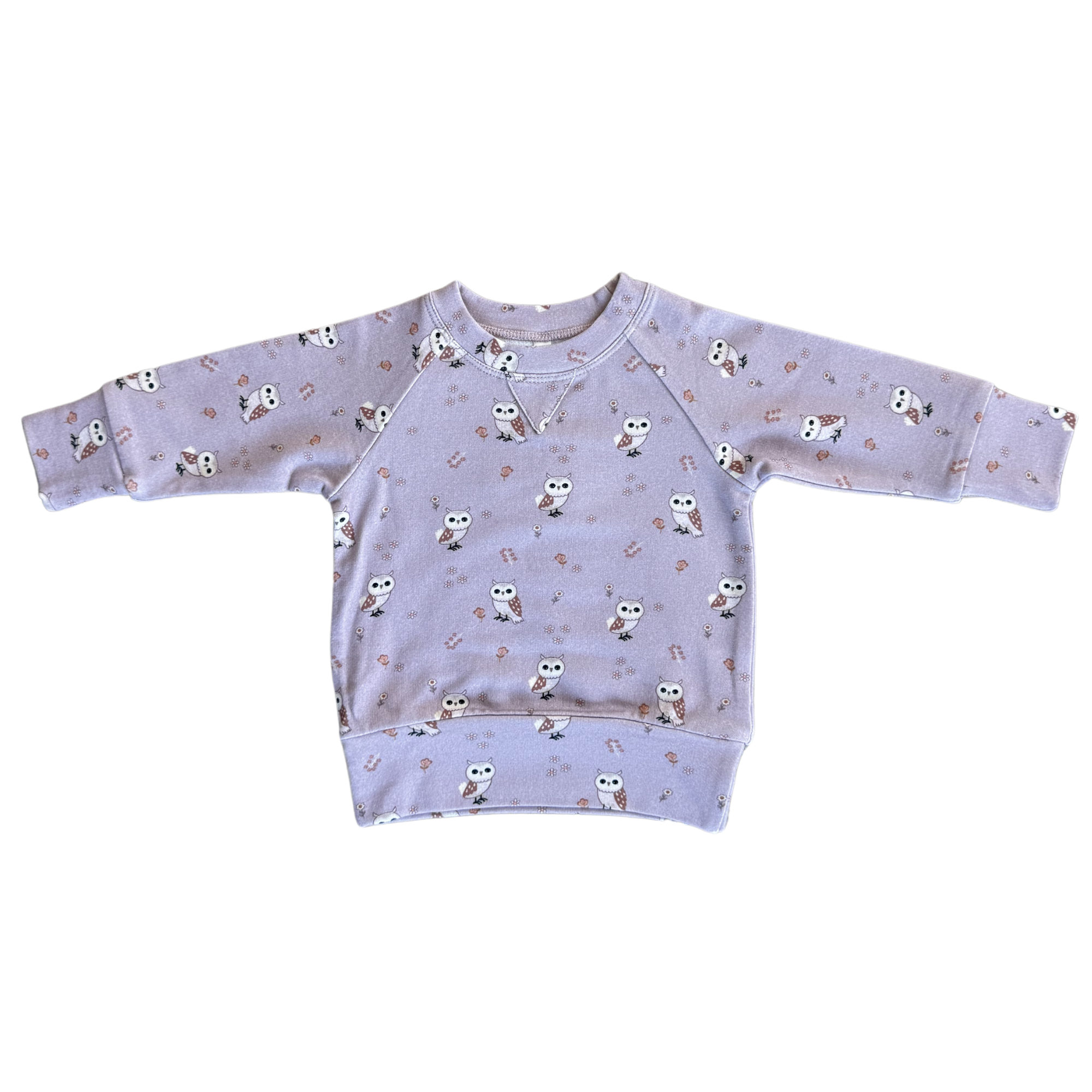 babysprouts clothing company - Wholesale Sweatshirt - Kids - Girl's Raglan Sweatshirt0