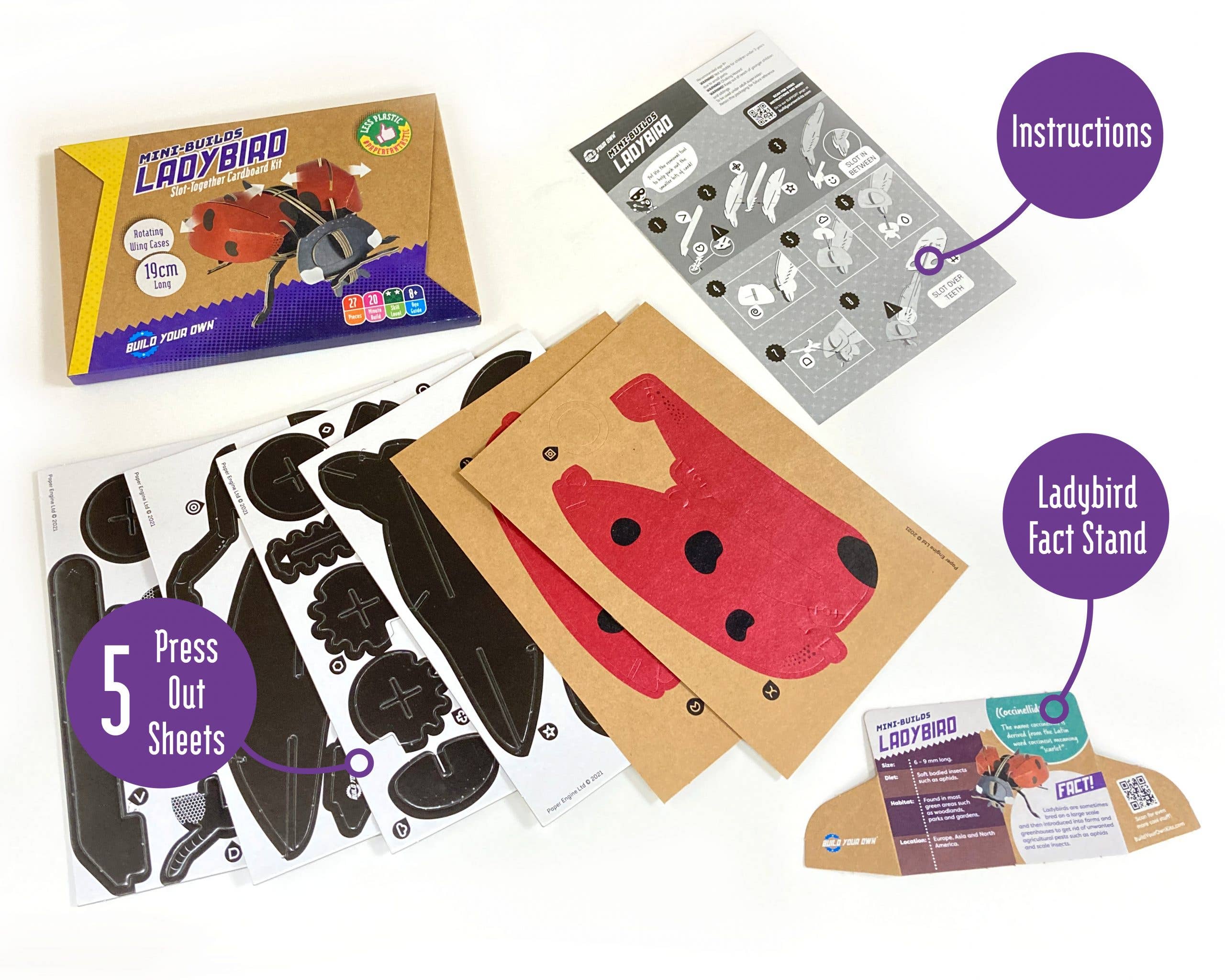 Build Your Own - Wholesale DIY Craft Kit - Kids - Build Your Own Ladybird - Eco-Friendly Cardboard Craft Kit6