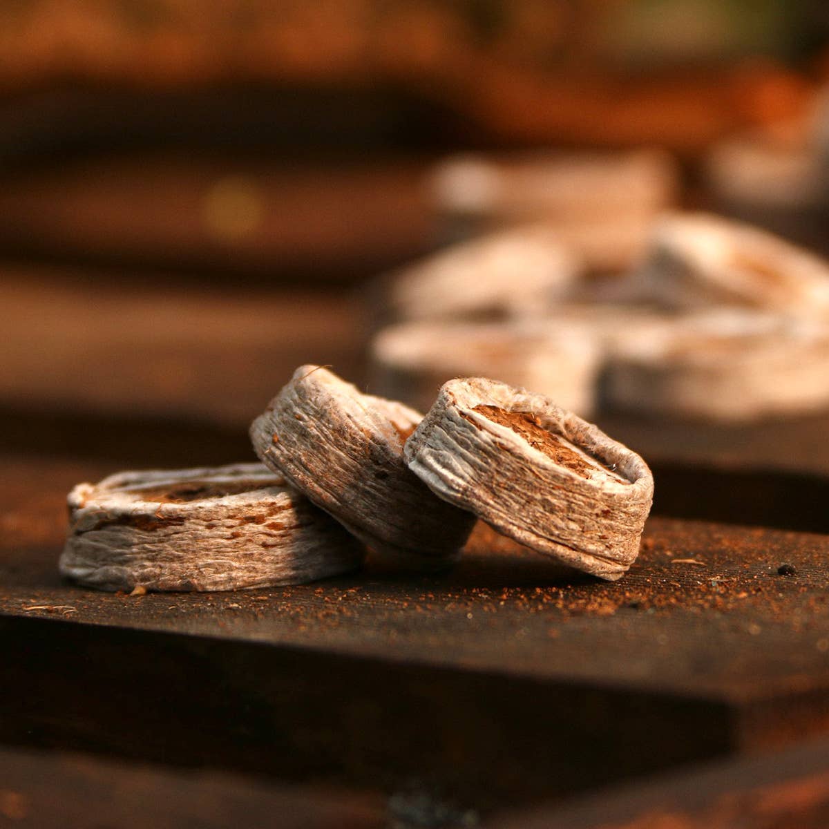 CoirProducts.co.uk of Salike Limited – wholesale Planting/potting soil – Coirproducts (cpuk) 38mm Coircoins (coir Pellets)2