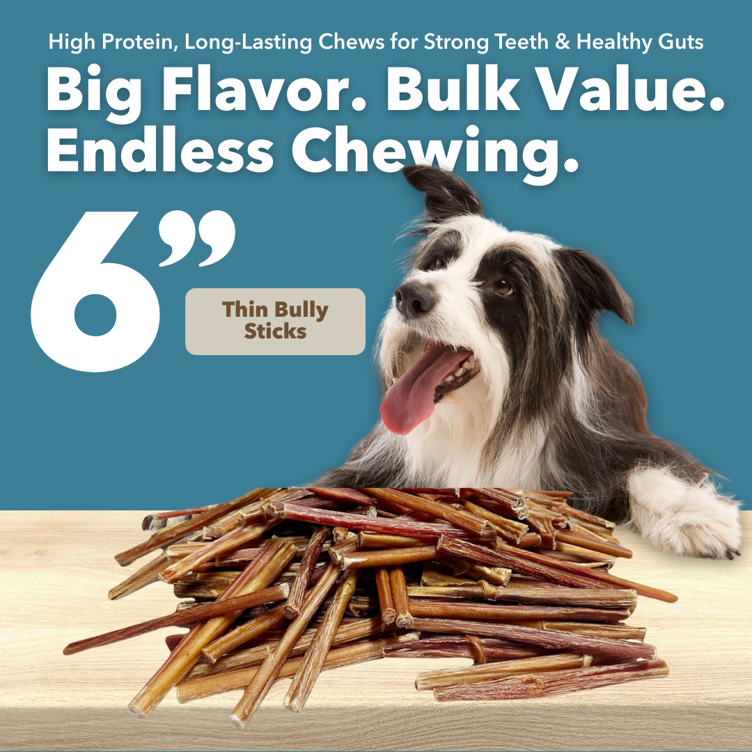 Mighty Chewz - Wholesale Pet Treats - Dog - 6" Thin Bully Sticks $0.96/ Stick (Case Price))4