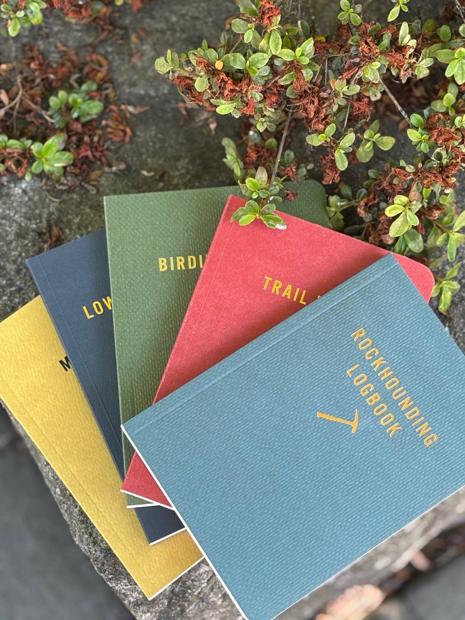 Mountaineers Books - Venta al por mayor Diario/agenda - Libro de registro de búsqueda de minerales4