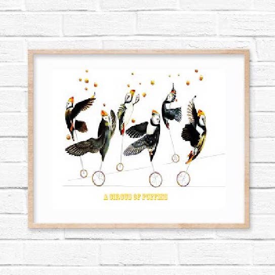 A Circus Of Puffins Collective Noun Collection Puffins Print for wholesale by Sarah Gregory Designs