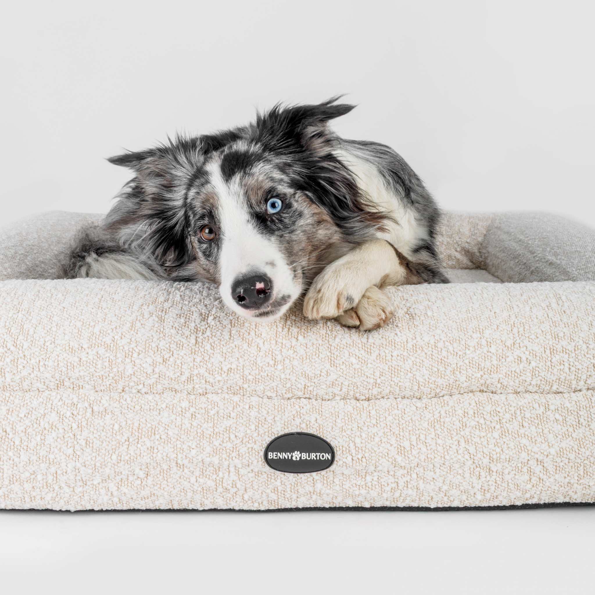BennyBurton (Walk-Buddy Hundezubehör) - Wholesale Pet Bed - Dog - Barklay Dog Bed Size S with Bouclé Cover6