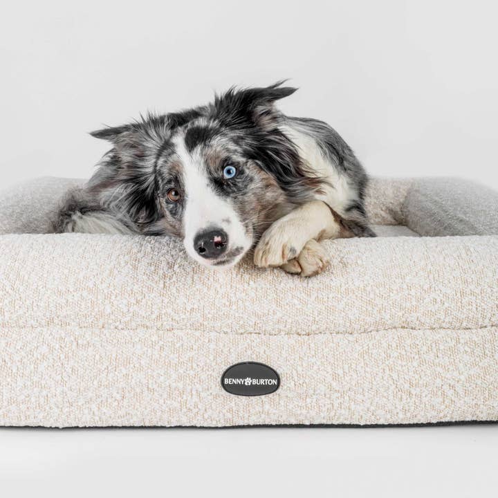 BennyBurton (Walk-Buddy Hundezubehör) - Wholesale Pet Bed - Dog - Barklay Dog Bed Size S with Bouclé Cover6