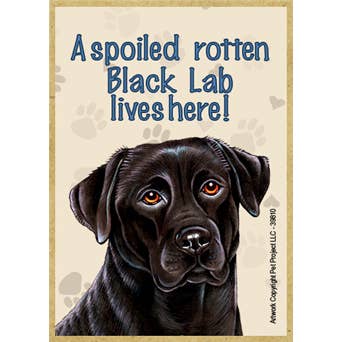 A spoiled rotten Black Lab lives here! wood fridge magnets - for wholesale by SJT Enterprises, Inc.