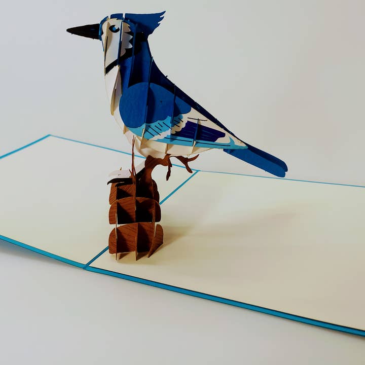 Blue Jay ist ein wunderschöner intelligenter Vogel für den Großhandel von laviedessouvenirs