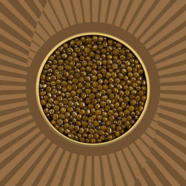 Golden Goat Caviar - Wholesale Fish/Seafood - Kaluga Caviar