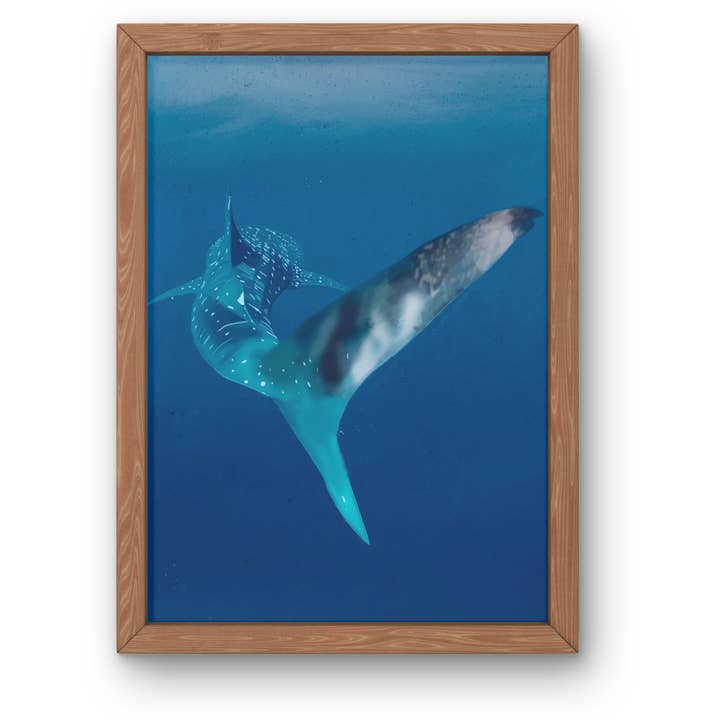 Whale shark tail digital illustration print for wholesale by Lisa Trinca Art