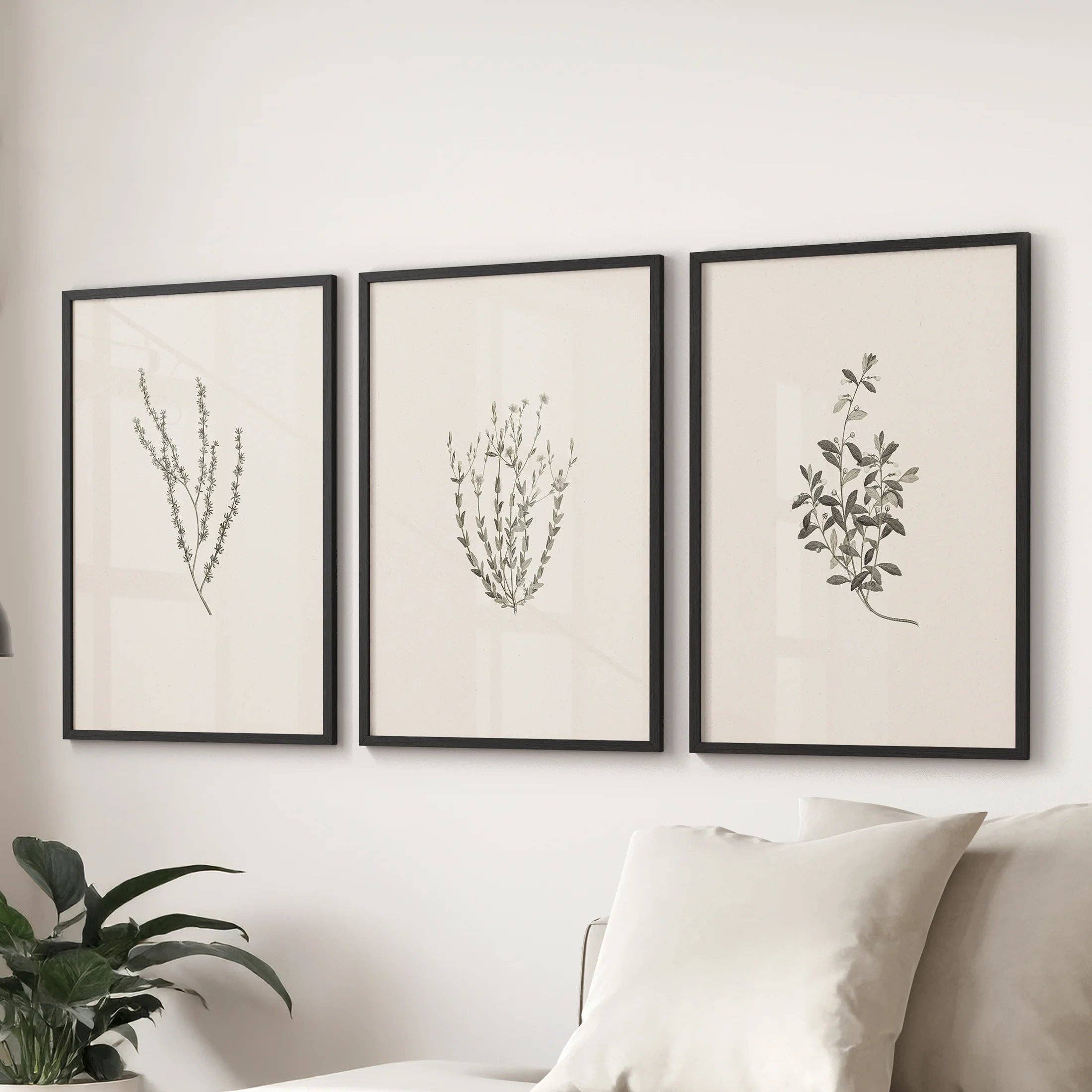 PrintSets.com - Wholesale Gallery Wall Set - Vintage Botanical 3 Piece Wall Decor. Rustic Dried Flower Prints7