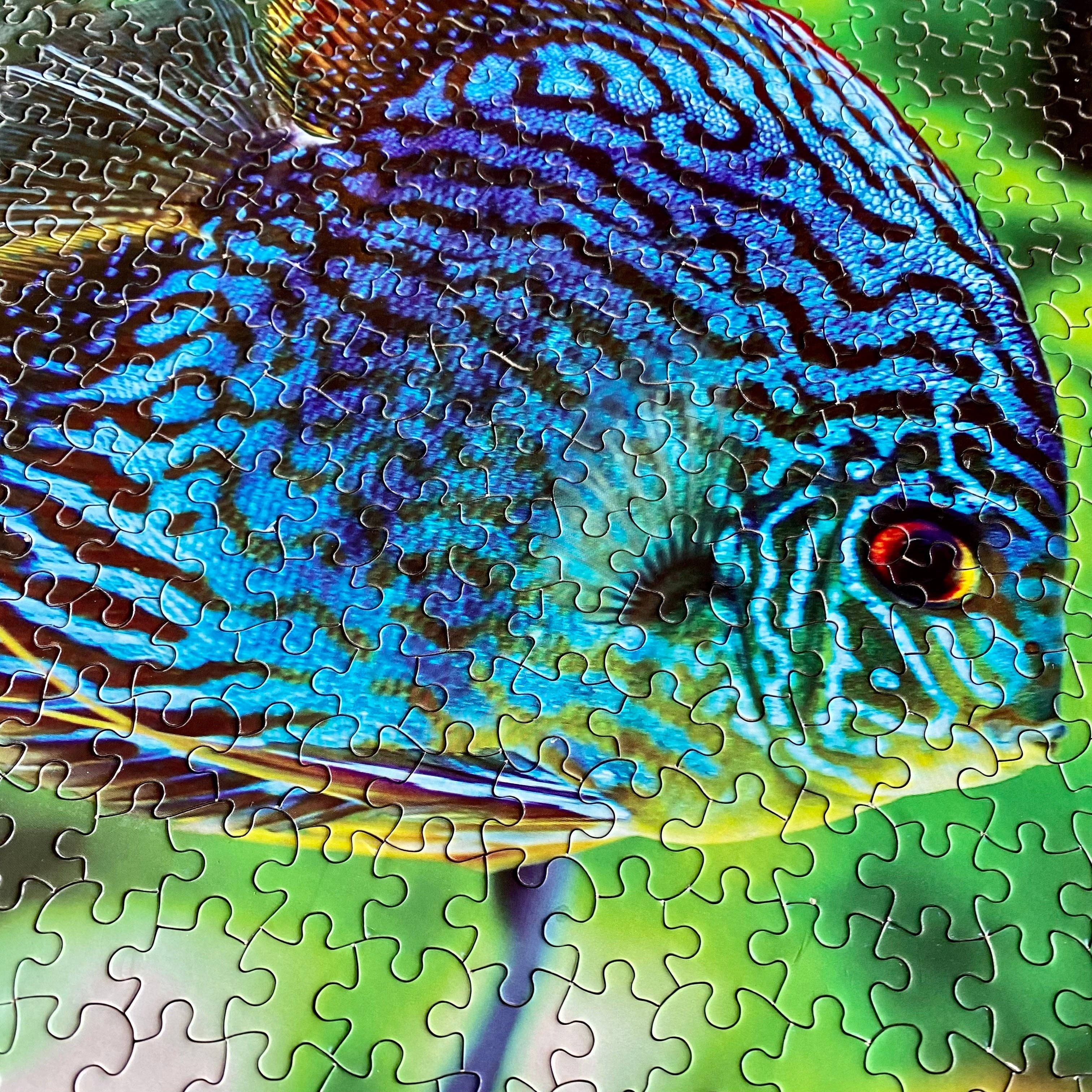 Wetplants - Wholesale Puzzle - Adult - 1000-Piece WetPlants Fish Puzzle5