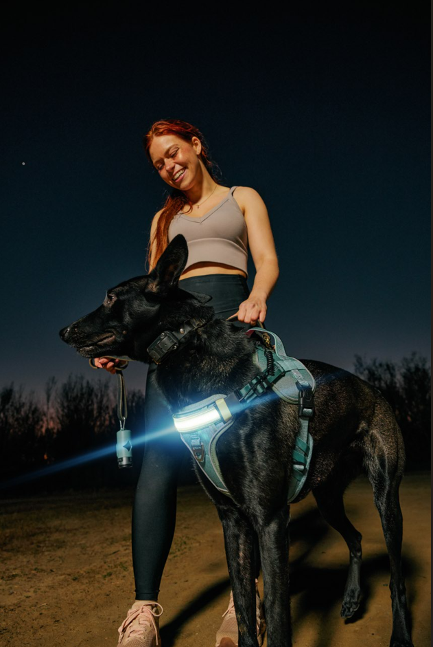 Lumi Pawtners - Wholesale Pet Harness - Dog - Lumi One - Lighting Your Path at Night!8