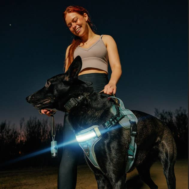 Lumi Pawtners - Wholesale Pet Harness - Dog - Lumi One - Lighting Your Path at Night!8