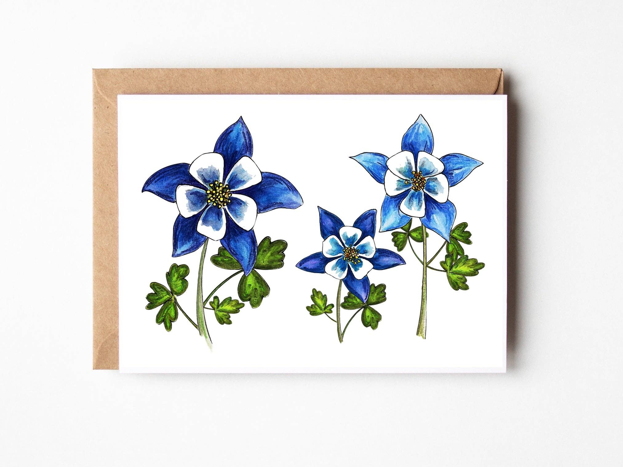 Whimsicals Paperie - Wholesale Stationery/Notecard Set - Assorted Blank Boxed Note Cards, The Colorado Pack2