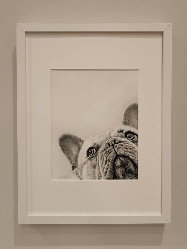 French Bulldog Fine Art Giclée Print for wholesale by Crystal Clarke Animal Art