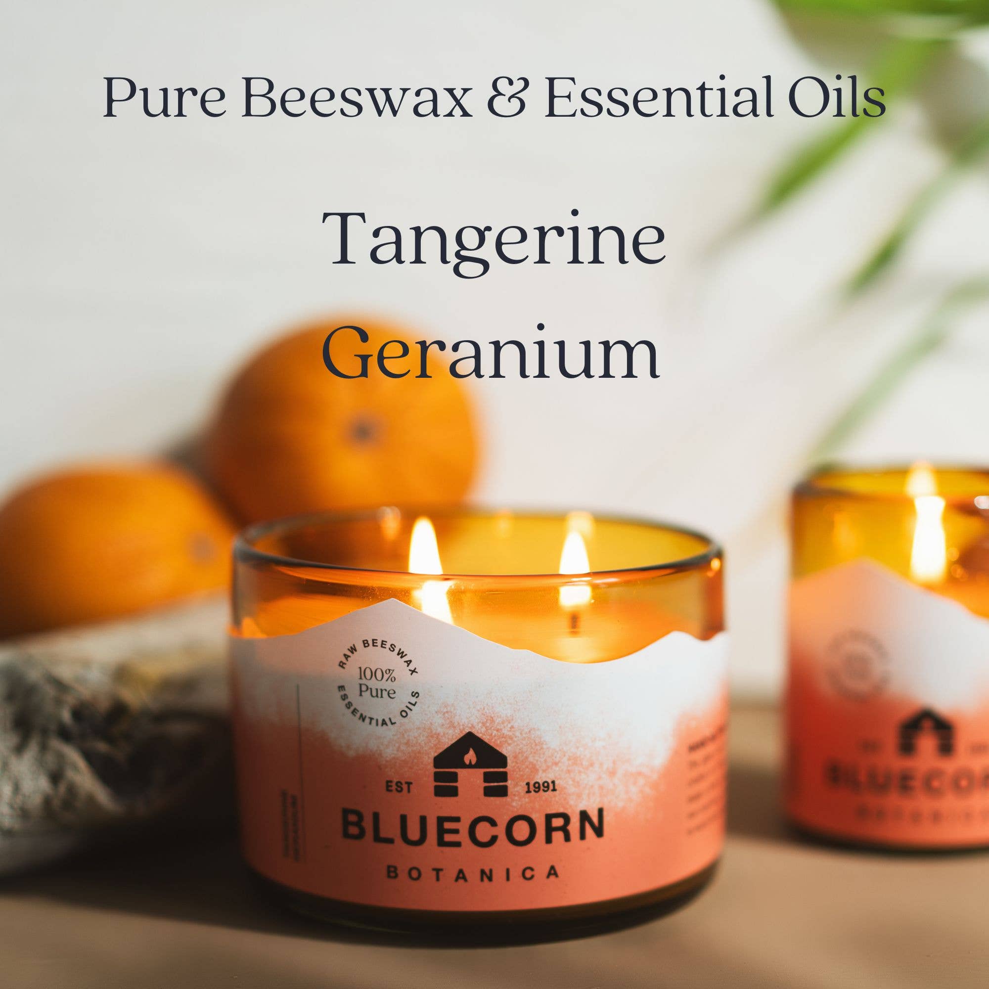 Bluecorn Candles - Wholesale Jar/Filled Candle - Scented Beeswax Candles - Pure Essential Oils - Blown Glass Holders16