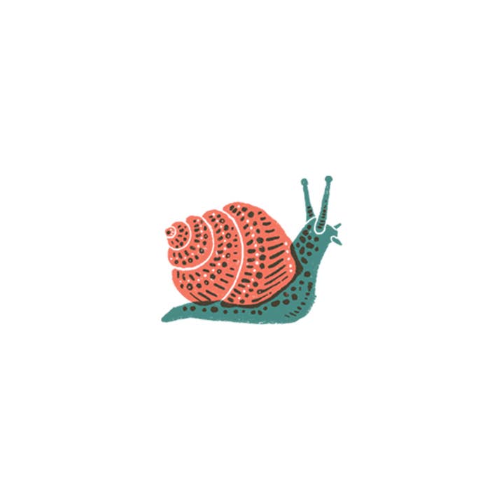 Tattly - Wholesale Temporary Tattoo - Snail Tattoo Pair