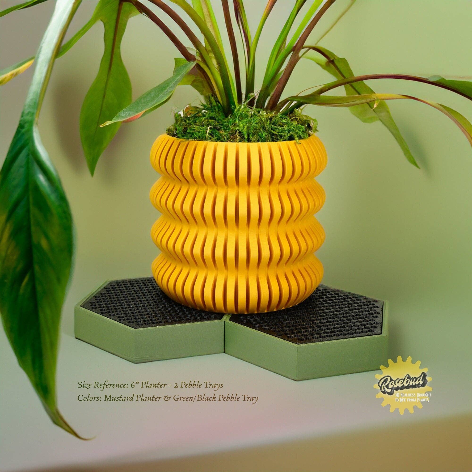 Rosebud Homegoods - Wholesale Garden Tool - Water Humidity Tray for Houseplants and Garden, 3D Printed Planter Accessories, Garden Gifts, Alocasia and Humid Loving Plants, Gifts For17