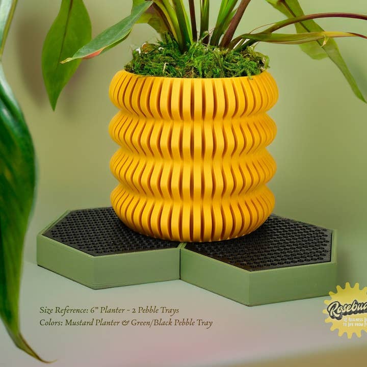 Water Humidity Tray for Houseplants and Garden, 3D Printed Planter Accessories, Garden Gifts, Alocasia and Humid Loving Plants, Gifts For for wholesale by Rosebud Homegoods