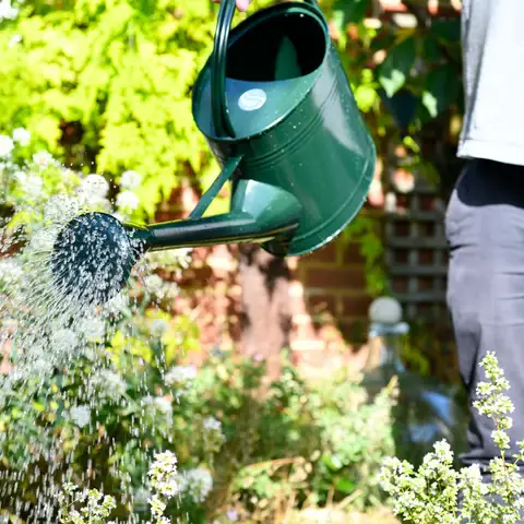 Burgon and Ball - Wholesale Watering Can - Watering Can 9 Litre - British Racing Green8