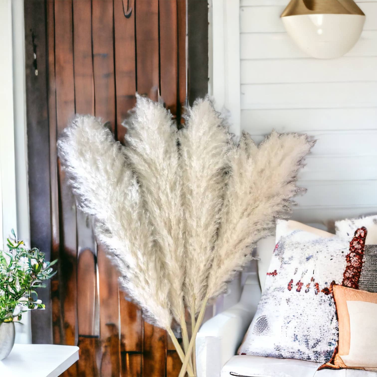 Interiors and Art - Wholesale Dried/Pressed Flowers - 4ft Cream Colored Pampas Grass4