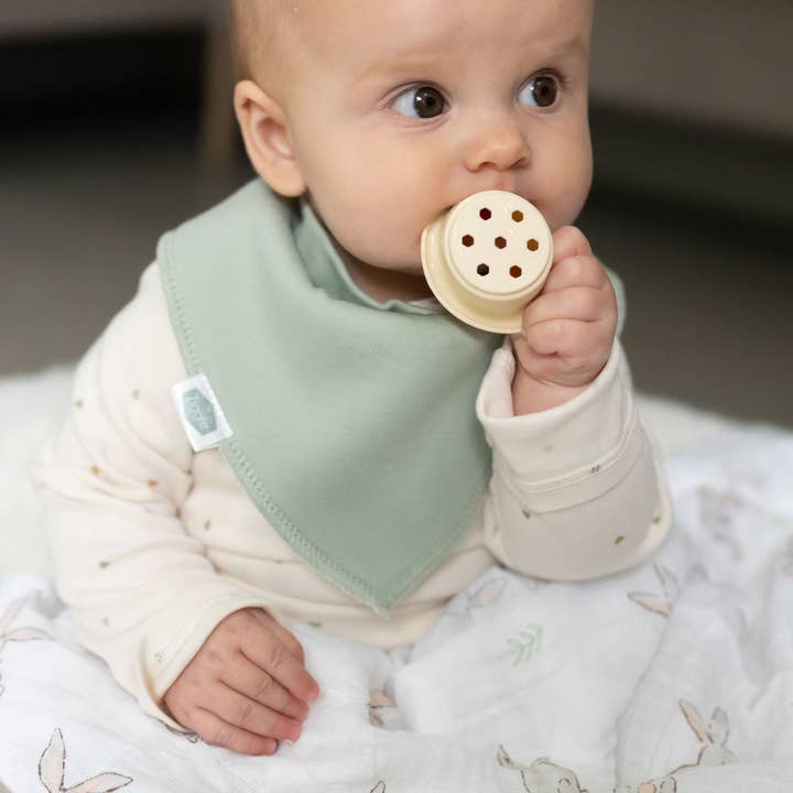 Ziggle Baby - Wholesale Bib - Baby - Neopolitan Pops bib set2