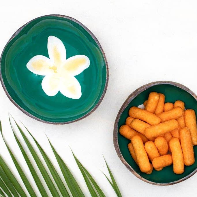 Niu Coconut by Pacific Spirit - Wholesale Decorative Plate/Dish/Bowl - Coconut bowl frangipani1