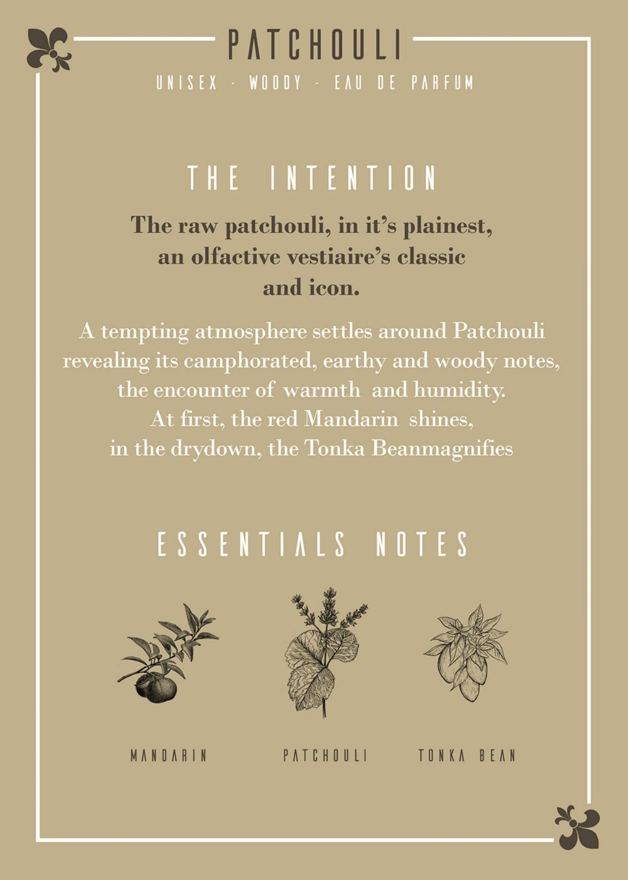 Les Parfums D'Uzège – Engroshandel Parfume/eau de toilette – Patchouli Eau de Parfum 50 ml4