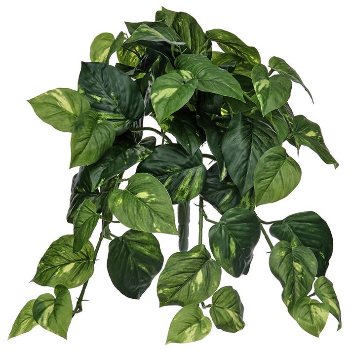Artificial Variegated Pothos Plant - 19" for wholesale by Will's Company