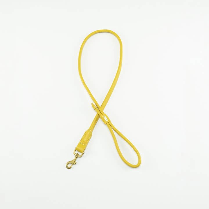 Sitwell Lead - ANANAS, XS for wholesale by Clementine est dogs