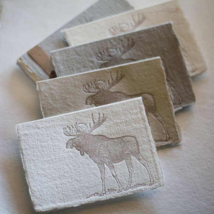 skelley west design co + letterpress - Wholesale Stationery/Notecard Set - Letterpress card pack | handmade paper | moose