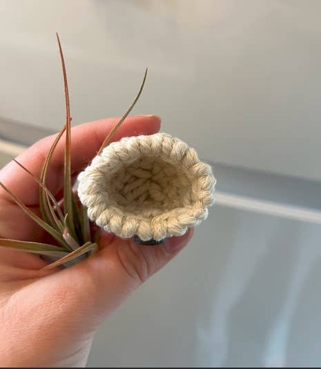 Nashville Macrame - Wholesale Hanging Planter - Macrame Air Plant Holders 2