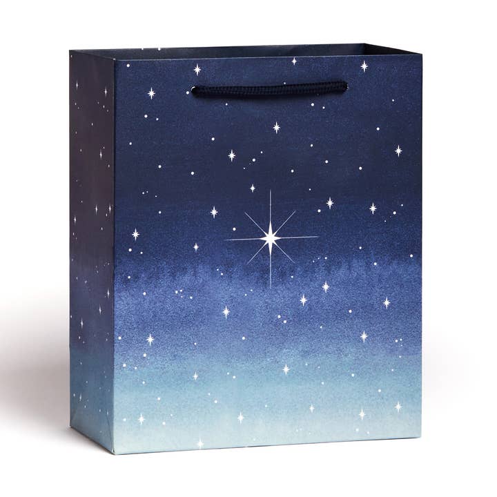 North Star Holiday Gift Bag for wholesale by Abigail Jayne Design