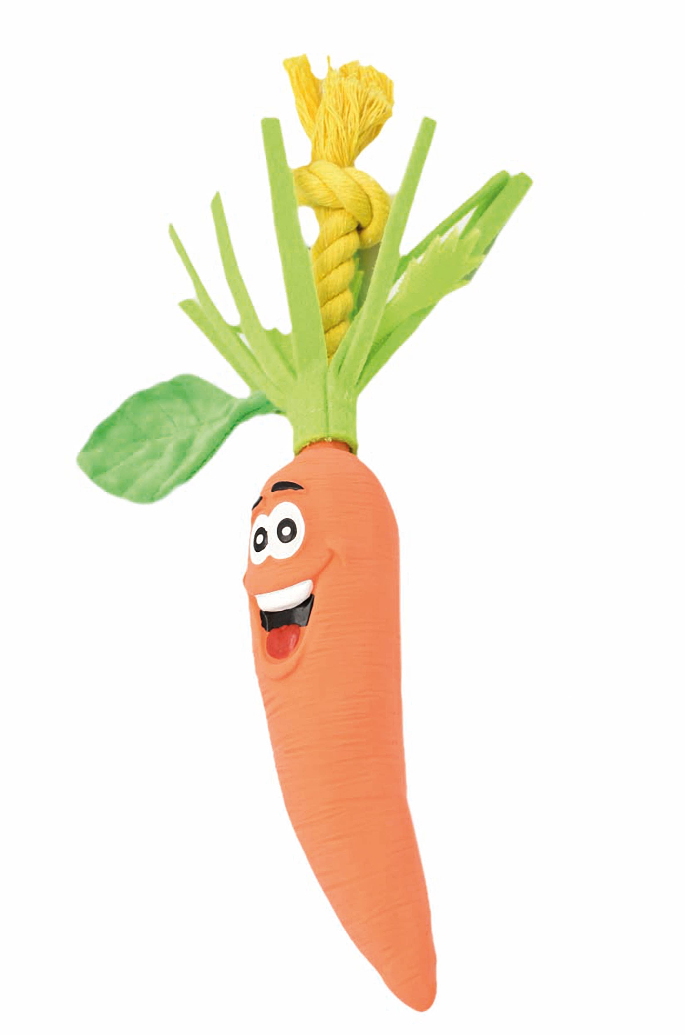 Record - Wholesale Pet Chew Toy - Dog - Dog Chew Toy Veggy, Banana - Record1