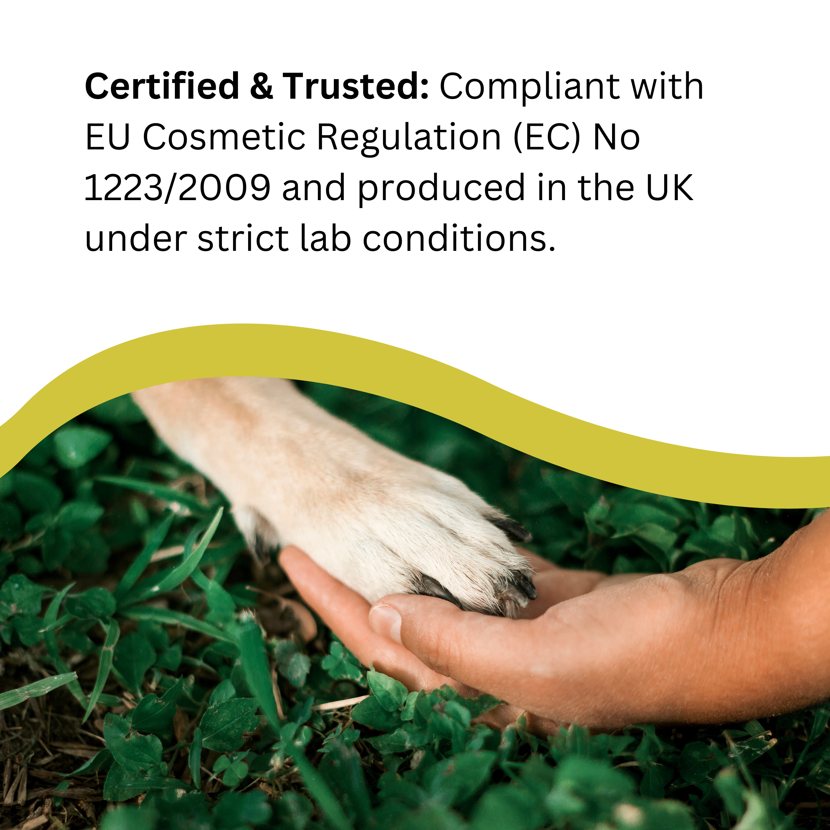 Natures Greatest Secret – wholesale Pet spray – Dog – NEW Natural Tick & Flea Repellent Colloidal Silver for Dogs5