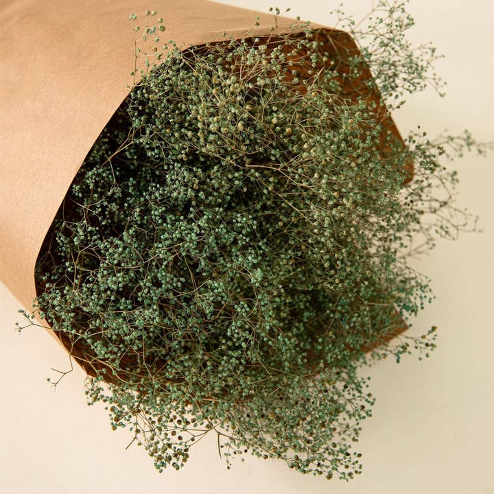 Sola Wood Flowers - Wholesale Dried/Pressed Flowers - Preserved Greenery Bouquets Mini Gyp Green1