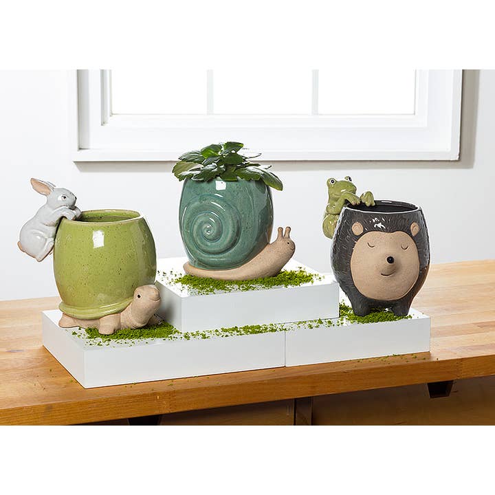 Abbott - Wholesale Plant Pot - Tall Turq Snail Planter-5"H2