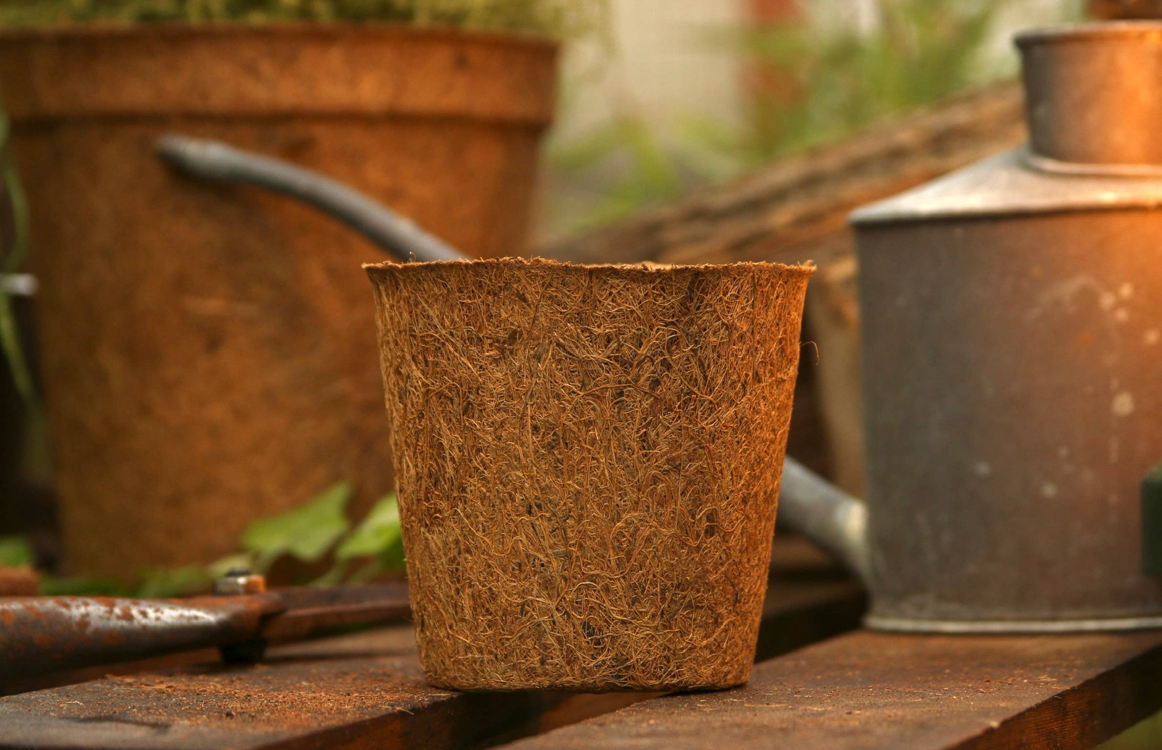 CoirProducts.co.uk of Salike Limited – wholesale Plant pot – 13 cm Coir Pots | Plant Pots | 100% Biodegradable | 1 Ltr2