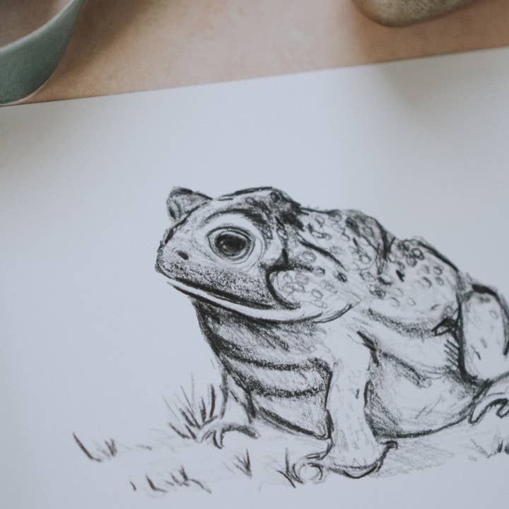 MacaelaMade - Vendita all'ingrosso Stampa artistica - Schizzo di rospo, disegno di rospo, stampa artistica primaverile