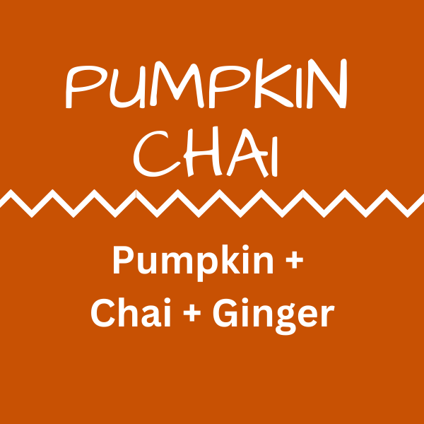 Everything Chriss Home & Body Fragrances - Wholesale Incense - Luxury Incense Sticks - (PUMPKIN CHAI)3