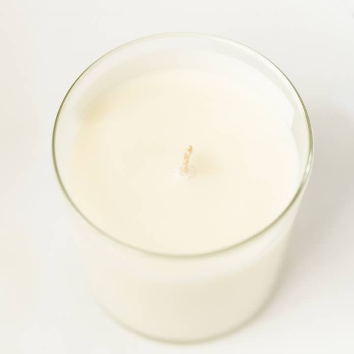 Wash and Wik - Wholesale Outdoor Candle - Citronella Soy Wax Candle | No Squito | Outdoor - 1 Wick1