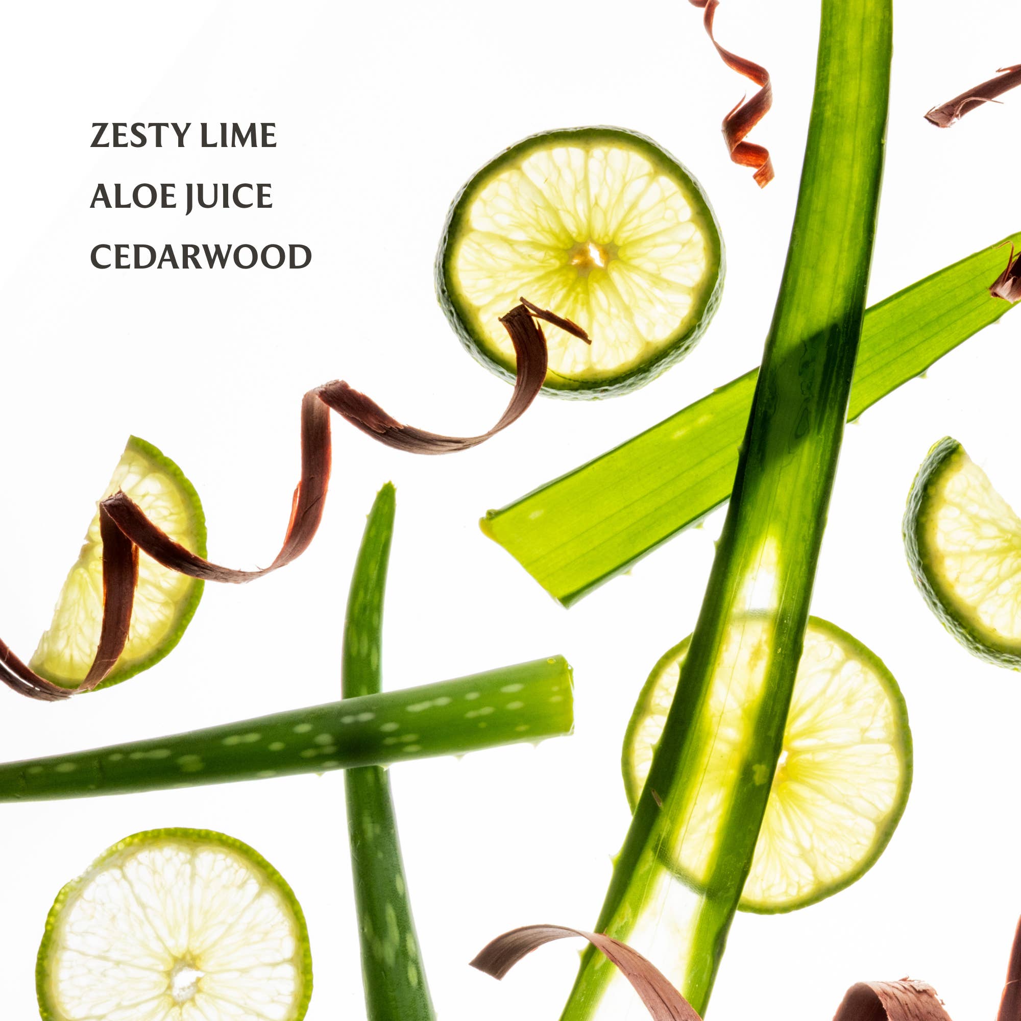 Touchland - Wholesale Hand Sanitizer - Aloe You Power Mist Hydrating Hand Sanitizer1