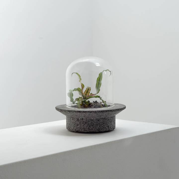 Gray Stone UFO Terrarium Planter for wholesale on Faire