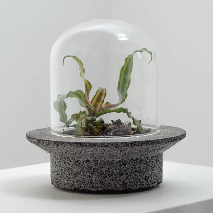 Pietra grigia Fioriera per terrario UFO in vendita all'ingrosso su Faire0