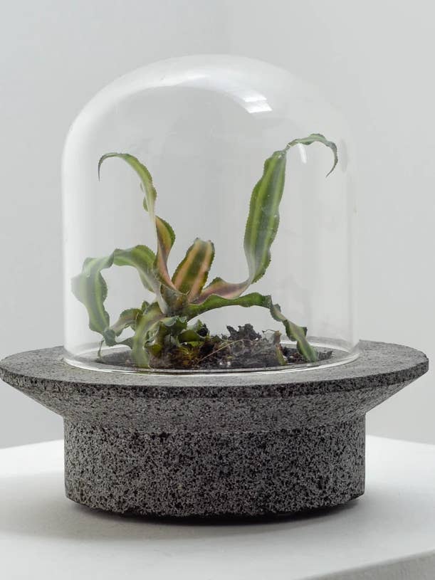 UFO Terrarium Planter for wholesale by Coolpebbles