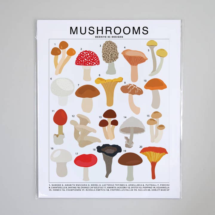 Mushrooms Species ID Chart - Botanical Fungi Art Print for wholesale by Beehive 95 Designs