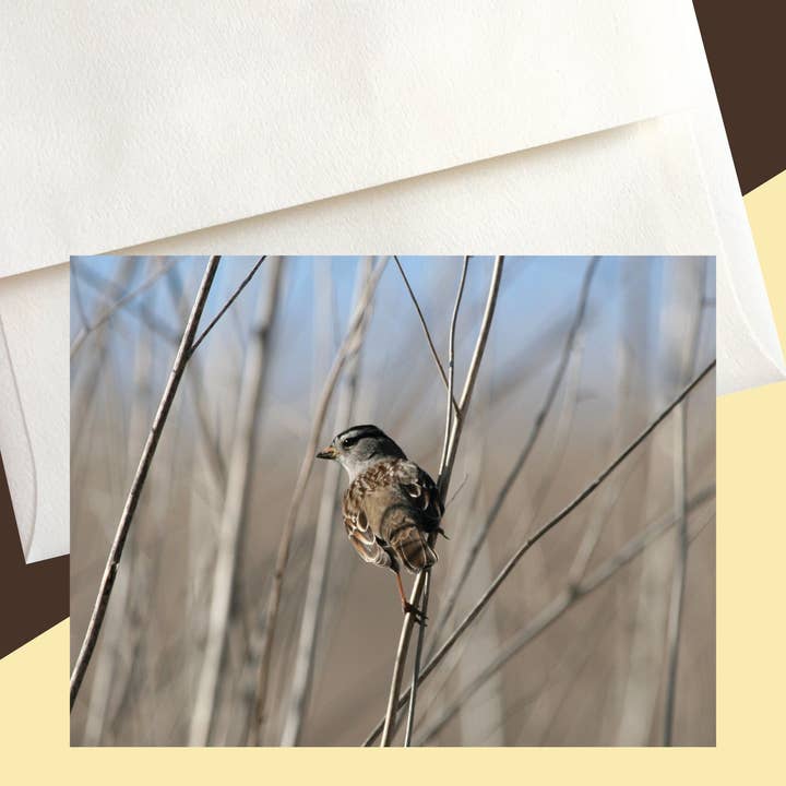 Sentinel Nature Note Cards for wholesale by Mozaic Studio