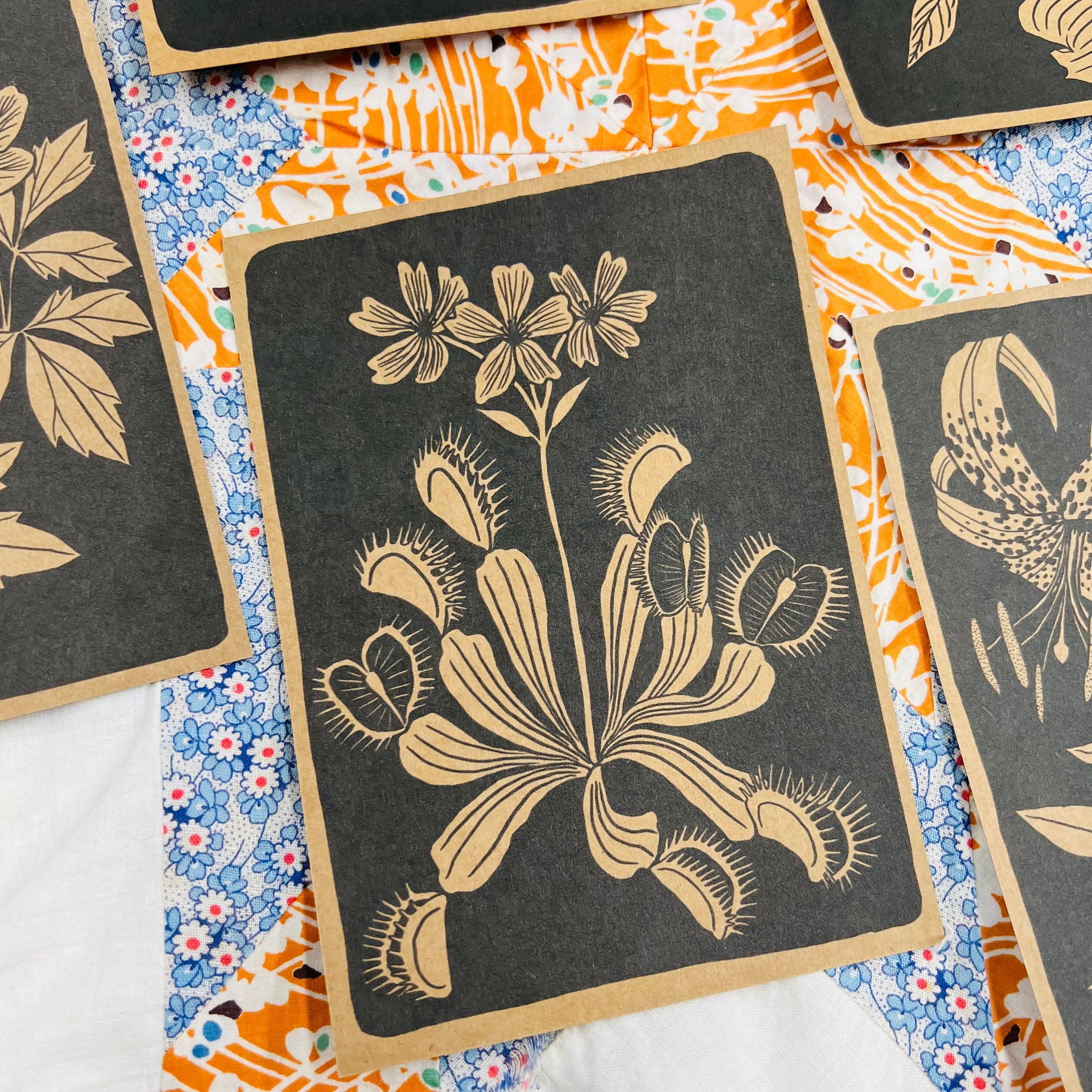 Needlebone, LLC - Wholesale Postcard Set - NC Native Plant Pen Pal Cards3