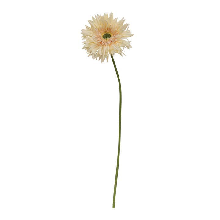 Col House Designs - Wholesale Artificial Flowers - Gerbera Daisy Stem, Cream Pink
