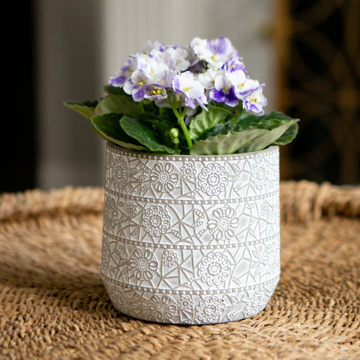 5.5 in. Metarie Egg Pot (12 Per Case) for wholesale by Jackson Pottery